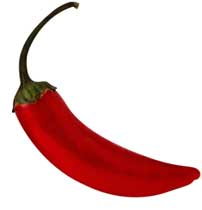 Cayenne