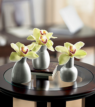 Orchid Trio