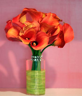 Rust Calla