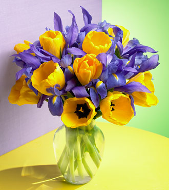 Tulips and irises