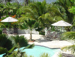 Palm PR