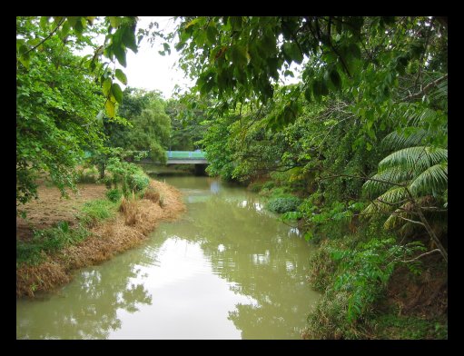 Rio Camuy