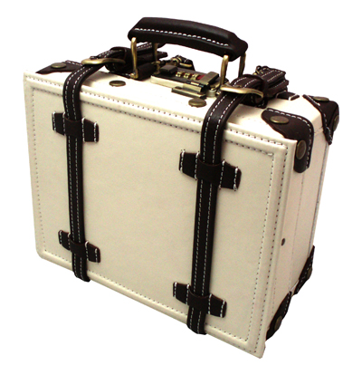 Distinguished Mini Case