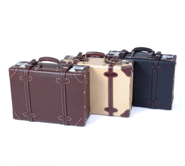 Sophisticated Briefcase