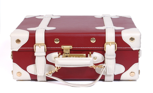 Sophisticated Briefcase2